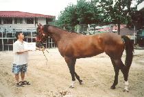 �ö������ (FLYING CHULLO) ����