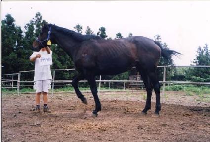 ��Ŀ������� ����