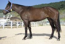 �Ʊ����� (AGUN JINNYEONG) ����