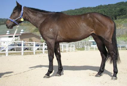 �Ʊ����� ����