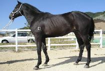 ���߾� (DAECHUANG) ����