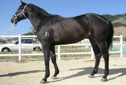 ���߾� ����