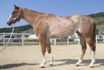 �����ô� (SEONBONG SIDAE) ����