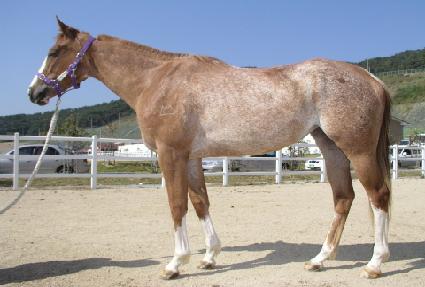 �����ô� ����