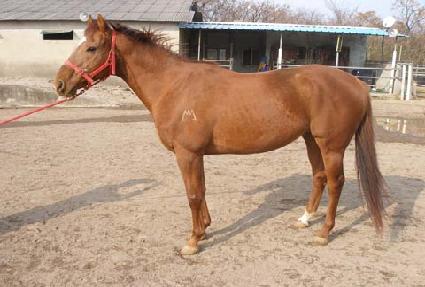 �б���� ����