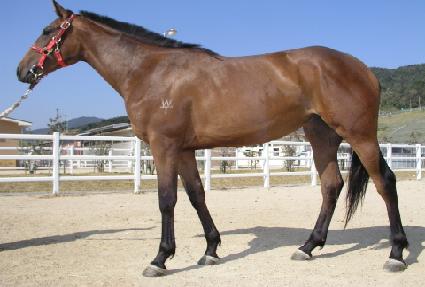 ������ ����