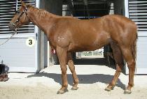 ���̼� (JONGISEOM) ����