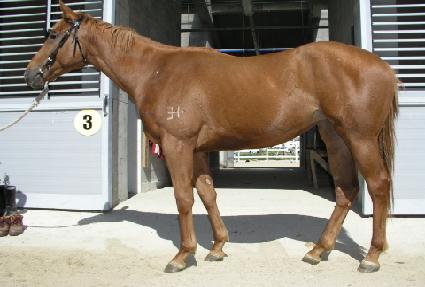 ���̼� ����