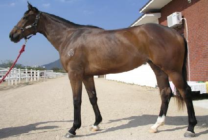 �Ż糪�� ����