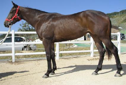 �������� ����