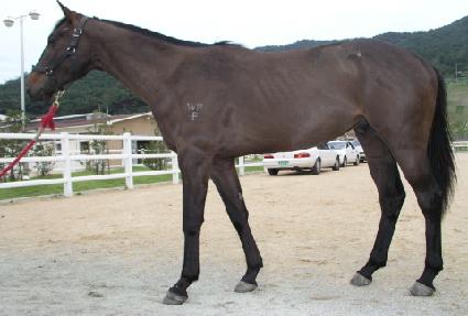 �ݹ̸��� ����