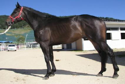 ��·� ����