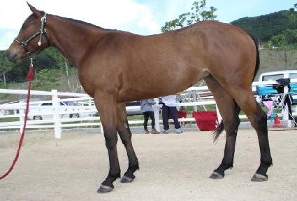 ����õ ����