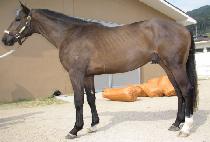 û�긮 (CHEONGSALLI) ����