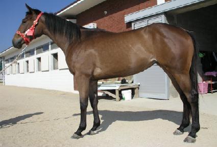 ��� ����