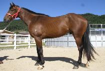 ������ (OREUMAK) ����