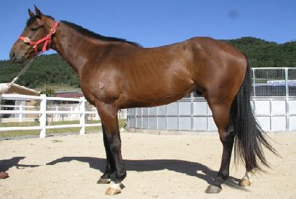 ������ ����