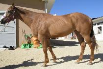 �ݺ��칰 (GEUMBICH UMUL) ����