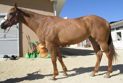 �ݺ��칰 ����