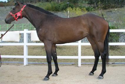 ��ȭ���� ����