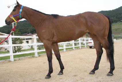 ������� ����