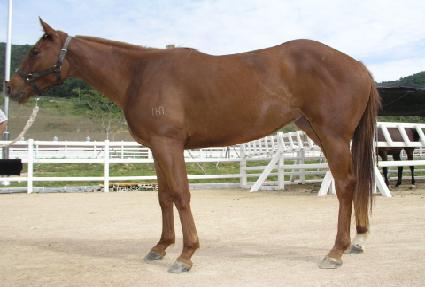 �Ͻ����� ����