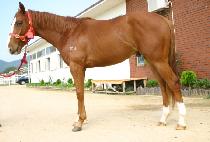 �ʽ¹��� (PILSEUNG MUJEOK) ����