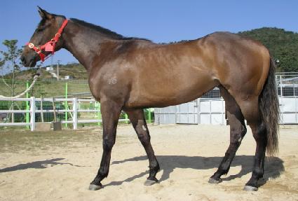 ��ũ��ӽ� ����