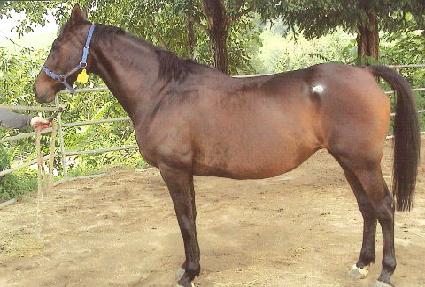 ������������ ����