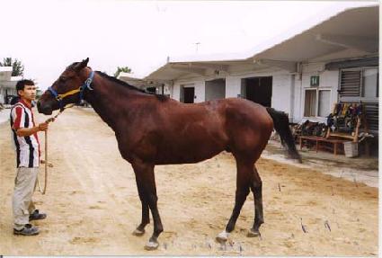 �渮�� ����