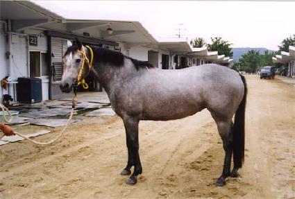 ������ ����