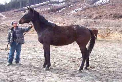 �̱���Ʈ ����