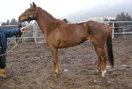 �����纸�� ����