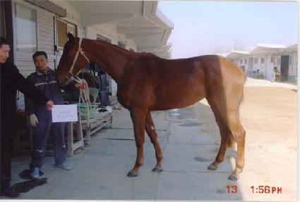 ��纼 ����