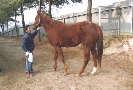 ���ͳ�è�Ǿ� ����