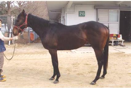 ����Ƚ��� ����