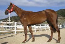 ������ (SSIREUMWANG) ����