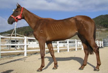 ������ ����