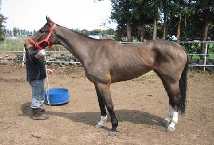 �ǽ±�� ����