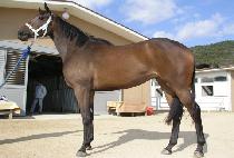 ������ (SEONJIJA) ����