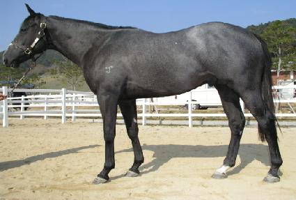 ���ַ� ����