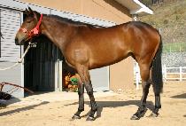 ���� (JIKGU) ����