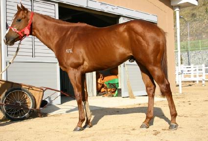 ��޻� ����