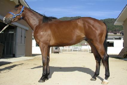 ������� ����