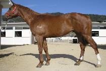 ���¼�ǳ (GANGYEOK SEONPUNG) ����