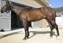 ���� (SEONGSANG) ����