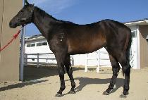 �ٿ����� (GEUNWON MULGYEOL) ����