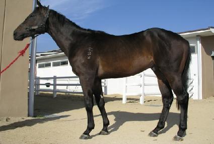 �ٿ����� ����