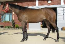 ��ȣ���� (GANGHO YEONPA) ����