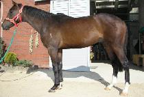 ����� (GYEONGSEUNGJI) ����